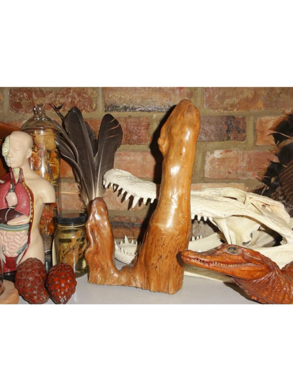 Vintage Double Cypress Knee swamp wood 11.6" wooden nature art decor Florida